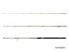 Delphin LEGIA CarpMATCH - 330cm/75g/3 rész